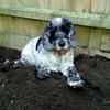 Gary Whitlock - @gary.whitlock7 - TikTok