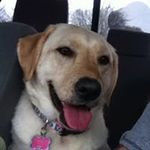 Gary Whittington - @whittington75 - Instagram