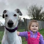 Gary Whittington - @gary.whittington.733 - Instagram