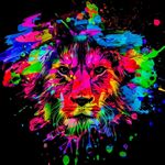 Gary Whittle - @whittlegaz - Instagram