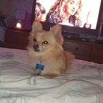 Gary Whittle - @gary.whittle.507 - Instagram