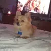 Gary Whittle - @gary.whittle3 - TikTok