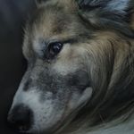 Gary Whitwell - @whitwell.gary - Instagram