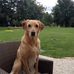 Gary Whitwell - Facebook