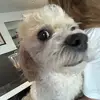 anna - @garywick - TikTok