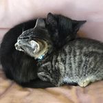 Gary & Wick - @garyandwick - Instagram