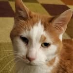 Gary Wickersham - @gary_wickersham1973 - Instagram