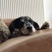 Gary Widdison - Facebook