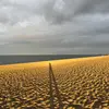 gary widger - @gary.widger - TikTok
