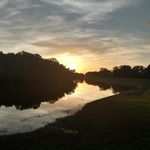 Gary Wigginton - @garywigginton145 - Instagram
