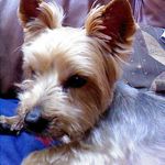 Gary Wignall - @wignallgary - Instagram