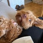 Gary Wilde - @wildething67 - Instagram