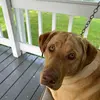 gary wildman - @gary.wildman2 - TikTok
