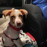 Gary Wiles - @gary_antoinette1220 - Instagram