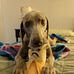 Gary Wiles - Facebook