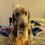 Gary Wiles - @garyproof - Instagram