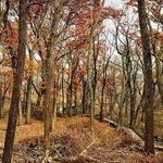 Gary Wilke - @glubwa - Instagram