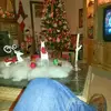garywillis591 - @garywillis591 - TikTok