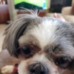 Gary Willison - Facebook