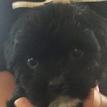 Gary Wills - @gwillsexpress - Instagram