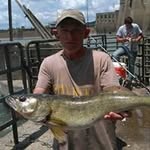 Gary Withrow - @shortywithrow0960 - Instagram