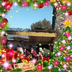 Gary Wolf - @garywolf1956 - Instagram