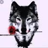 gary._wolf - @gary._wolf - TikTok