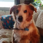 Gary Wolfe - @gary.wolfe_c10 - Instagram