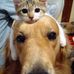 Gary Wolfson - Facebook