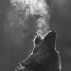 Gary Wolfson - Facebook