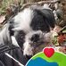 Gary Worrall - Facebook