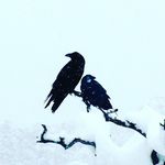 Gary Wright - @gary.wright.54390 - Instagram