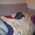 Gary Yeates - Facebook