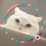 Gary Yeh - @gary7382 - Instagram