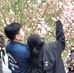 Gary Yeh - Facebook