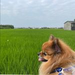Gary Yeh - @garyyeh123 - Instagram
