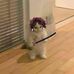 Gary Yeh - Facebook