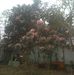 Gary Yeh - Facebook