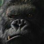 Gary Yeh - @yehg - Instagram