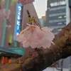Gary Yin - @gary.yin1695 - TikTok