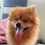 Gary Yin - @yrag89 - Instagram