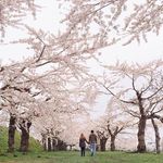 Gary Yip - @yippieitsgary - Instagram