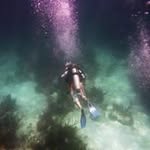 Gary Zahn Jr. - @gzahn1101 - Instagram