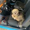 Gary Ozard - @gary.ozard - TikTok