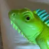 gary.lizard - @gary.lizard - TikTok