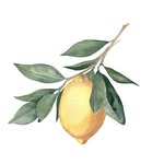 LEMON GARDEN Arillas - @lemon_garden_arillas_ - Instagram