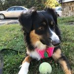 Gary Zaro - @zarogary - Instagram