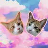 Gary & Zelda - @zeldaygary.cats - TikTok