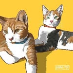 ℤ𝕖𝕝𝕕𝕒 & 𝔾𝕒𝕣𝕪 - @zeldangary_cats - Instagram