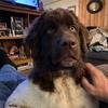 Gary Zelinsky - @user9070405179178 - TikTok